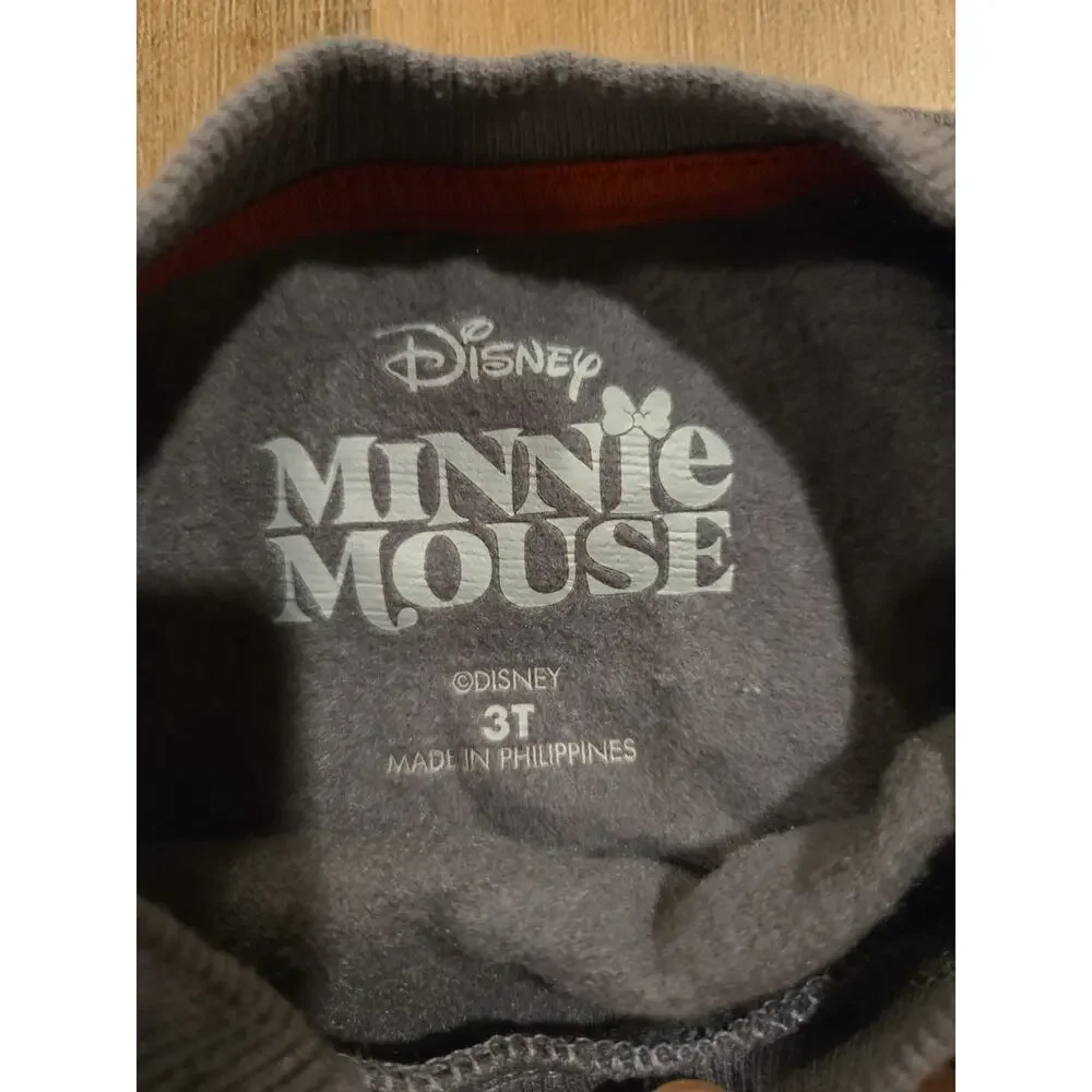 Disney Minnie mouse sweatshirt 3T with pink sweatpants size 4T